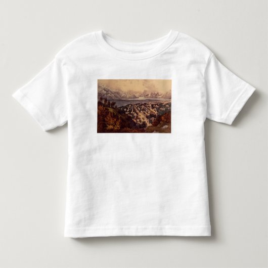 グレート・ソルト湖、ユタ トドラーTシャツ (正面)