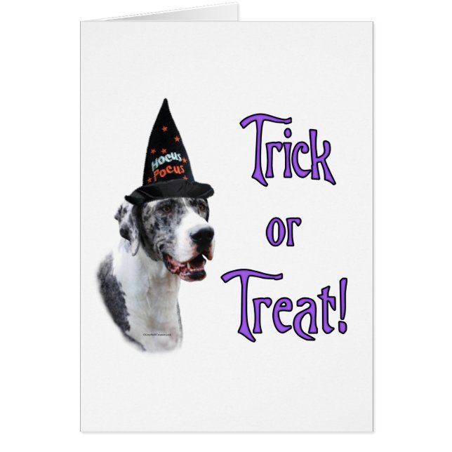 グレート・ダンのトリック (正面)