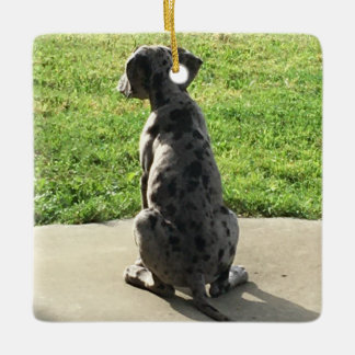 グレート・ダンの最初のX-Mas セラミックオーナメント