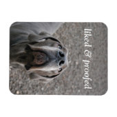 グレート・ダン磁石 マグネット (横)