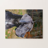 グレート・ダン。 ジグソーパズル (横)