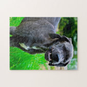 グレート・ダン。 ジグソーパズル (横)