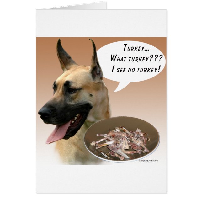 グレート・ダン・トルコ (正面)