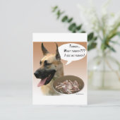 グレート・ダン・トルコ ポストカード (スタンド正面)