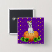 グレート・ダン・ハロウィーンハーレクイン・ダン・オ・ランタン 缶バッジ (正面&裏面)