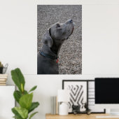 グレート・ダン・ブルー ポスター (ホームオフィス)