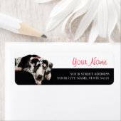 グレート・ダン ラベル (インサイチュ)