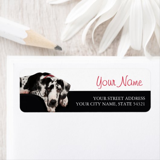 グレート・ダン ラベル (インサイチュ)