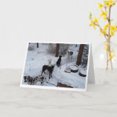 グレート·デーン·クリスマス·カード カード (黄色い花)