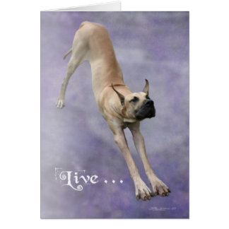 グレート・デーン・デューク