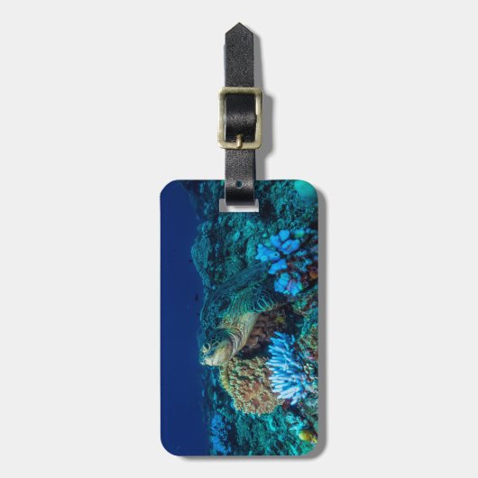 グレート・バリア・リーフのウミガメ ラゲッジタグ (正面縦)