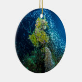 グレート・バリア・リーフの熱帯魚の珊瑚海 セラミックオーナメント (右)