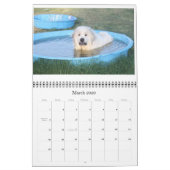 グレート・ピレニーズのカレンダー カレンダー (3月 2026)