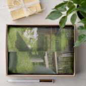 グレート・ピレニーズ十分に2 薄葉紙 (ギフト)