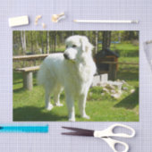 グレート・ピレニーズ十分に2 薄葉紙 (クラフト)