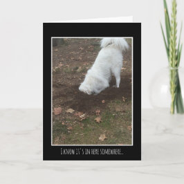 グレート・ピレニーズ カード