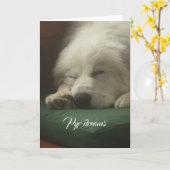 グレート・ピレニーズ カード (黄色い花)