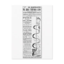 グレート・フォアパー・ショーの広告