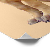 グレートDaneキングオブドッグスプリント ポスター (角)