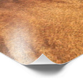 グレートDane穏やかな巨大な写真プリント フォトプリント (角)