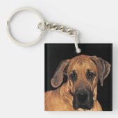 グレートDane穏やかな巨大キーチェーン キーホルダー (正面)