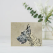 グレートDane (Brindle)'絵画s -オリジナルドッグアート ポストカード (スタンド正面)