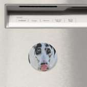 グレートDane - Harlequin – 私の舌Touch私の鼻 マグネット (インサイチュ (食洗機))