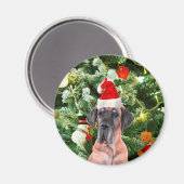 グレートDane wクリスマスツリーギフトボックスサンタハット マグネット (正面/裏面)