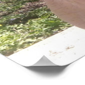 グレードの母ケン・ゲージ写真犬 ポスター (角)