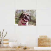 グレードの母ケン・ゲージ写真犬 ポスター (キッチン)