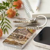 グレードクリークグリストミルバブコック州パーク， 2 キーホルダー (正面右)