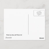 グレードクリークグリストミルポストカード ポストカード (裏面)