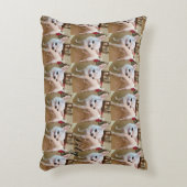 グレードA木綿アクセント枕16" x 12" アクセントクッション (正面(垂直))