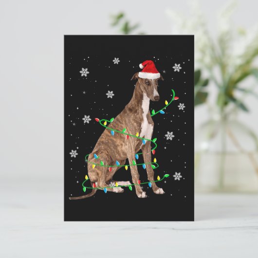 グレーハウンドのクリスマスライトかわいいサンタグレイハウンド サンキューカード (スタンド正面)