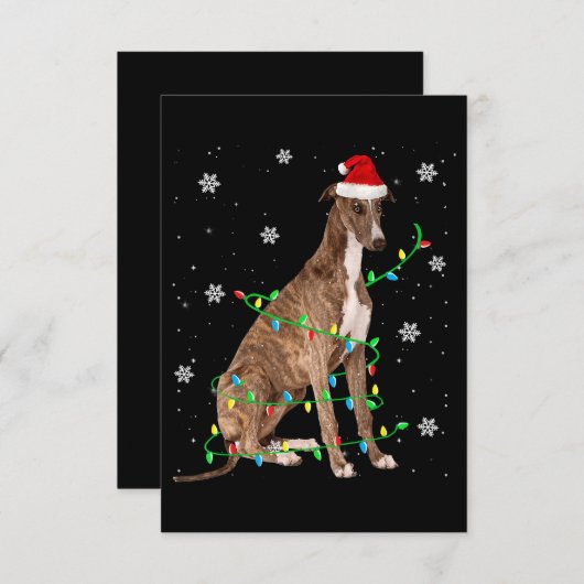 グレーハウンドのクリスマスライトかわいいサンタグレイハウンド サンキューカード (正面/裏面)