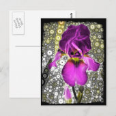 グレープアイリスハガキ ポストカード (正面/裏面)