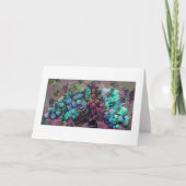 グレープインプレッションDigital Art Greeting Card カード (正面)