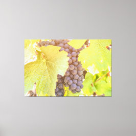 グレープオンつる植物 キャンバスプリント