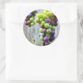グレープゼリー缶詰ラベル ラウンドシール (バッグ)