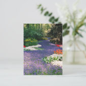 グレープハイアシンス川葉書 ポストカード (スタンド正面)