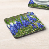 グレープハイアシンス コースター (左側)