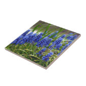 グレープハイアシンス タイル (側面)