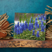 グレープハイアシンス フォトプラーク (側面)