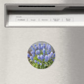 グレープハイアシンス マグネット (インサイチュ (食洗機))