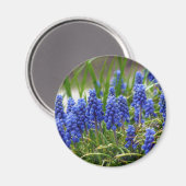 グレープハイアシンス マグネット (正面/裏面)