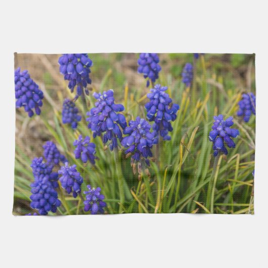 グレープハイアシントスファミリー キッチンタオル (横)