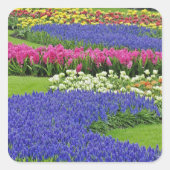 グレープハイアシン、チューリップ、および3のパターン スクエアシール (正面)