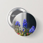 グレープハイアシン 缶バッジ (正面&裏面)