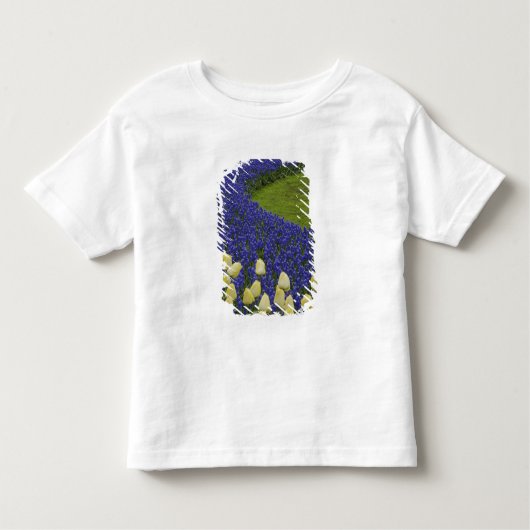 グレープヒヤシンス花と2花の庭園模様 トドラーTシャツ (正面)
