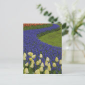 グレープヒヤシンス花と2花の庭園模様 ポストカード (スタンド正面)